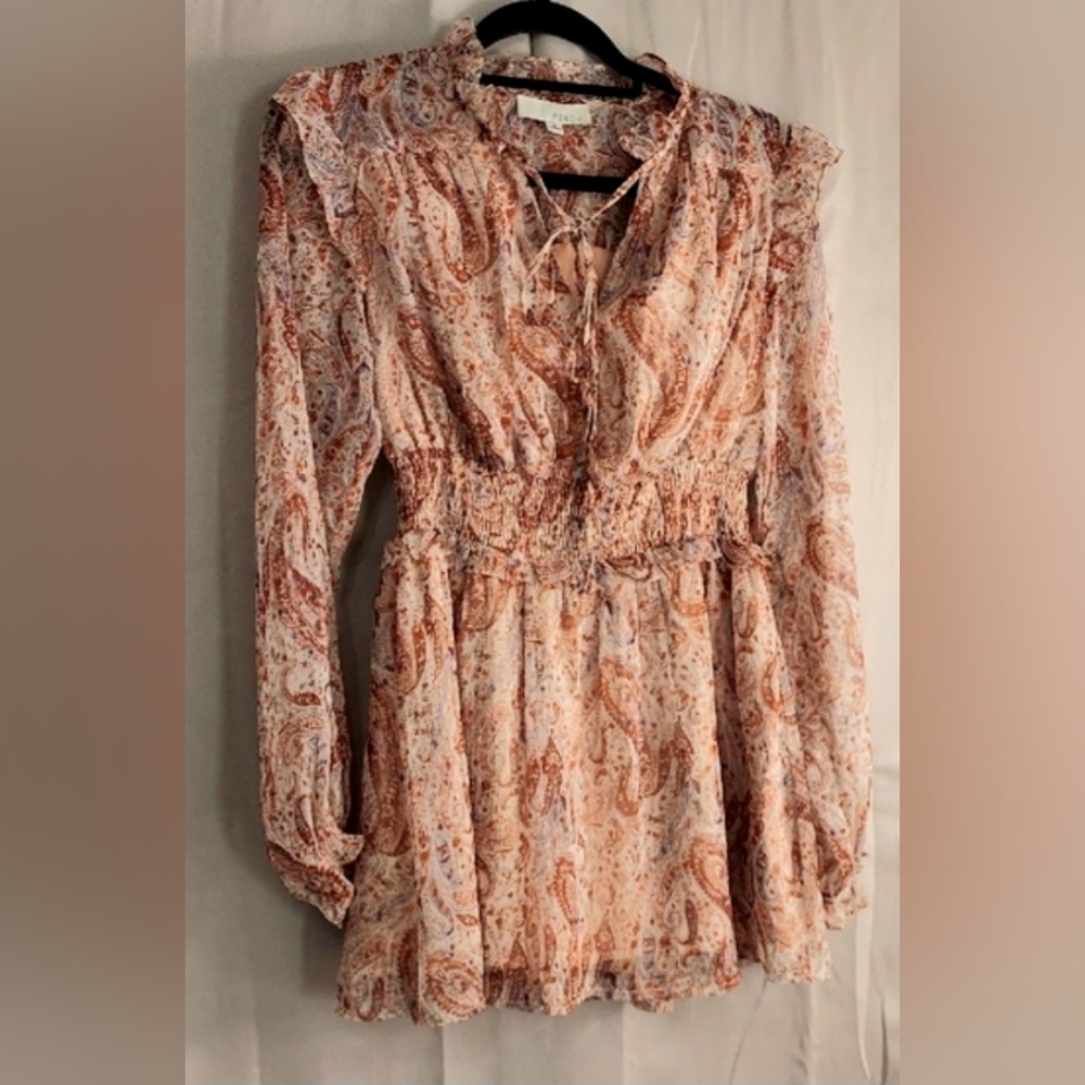Anthro Pinch Dress, Size Small, Long Sleeves, Paisley, Ruffles, Ruched, Lined